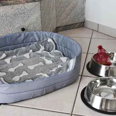 Zara House - And Pet Friendly Apartment